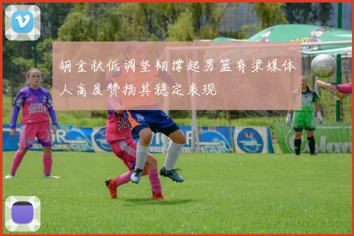 胡金秋低调坚韧撑起男篮脊梁媒体人高度赞扬其稳定表现