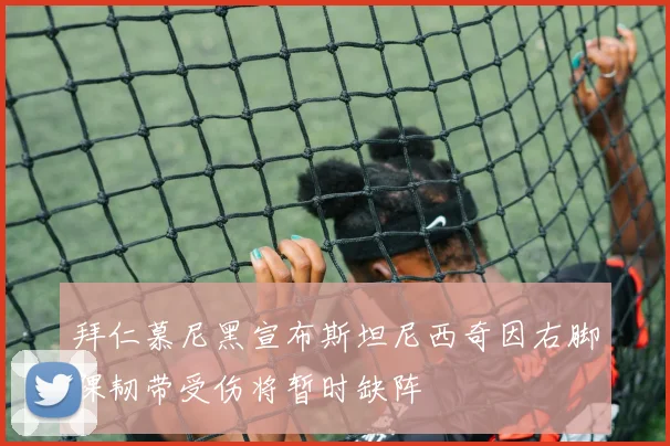 拜仁慕尼黑宣布斯坦尼西奇因右脚踝韧带受伤将暂时缺阵