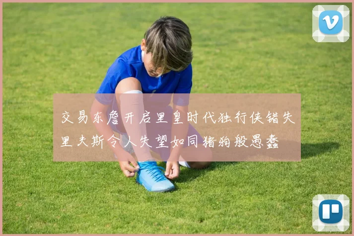 交易东詹开启里皇时代独行侠错失里夫斯令人失望如同猪狗般愚蠢